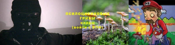 Альфа ПВП Алексеевка