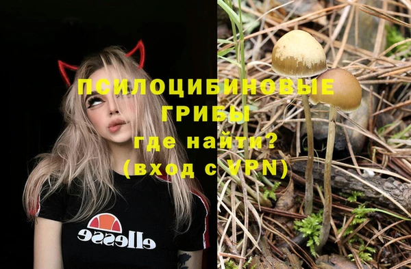 Альфа ПВП Алексеевка